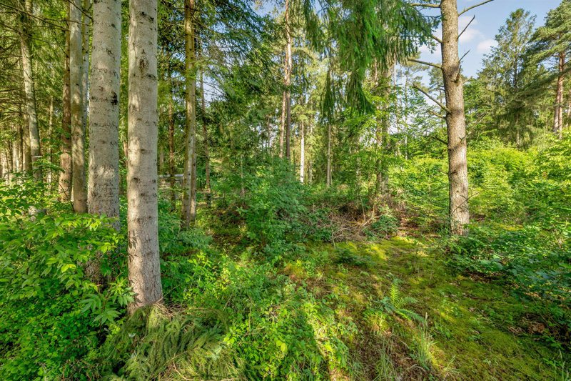 Property image number 9