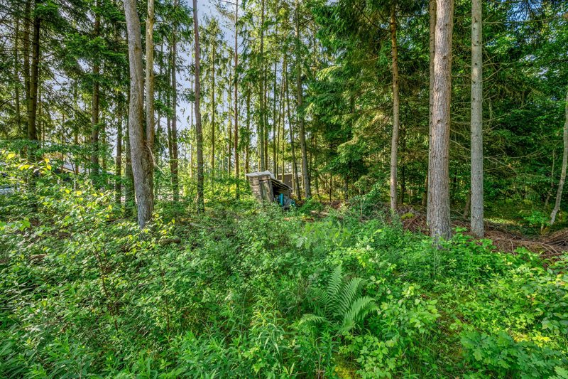 Property image number 10