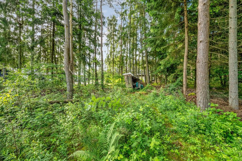 Property image number 4