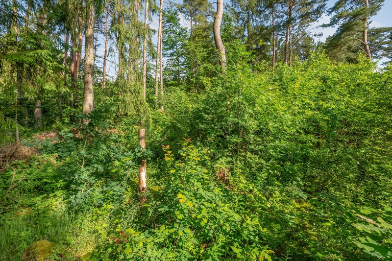 Property image number 11