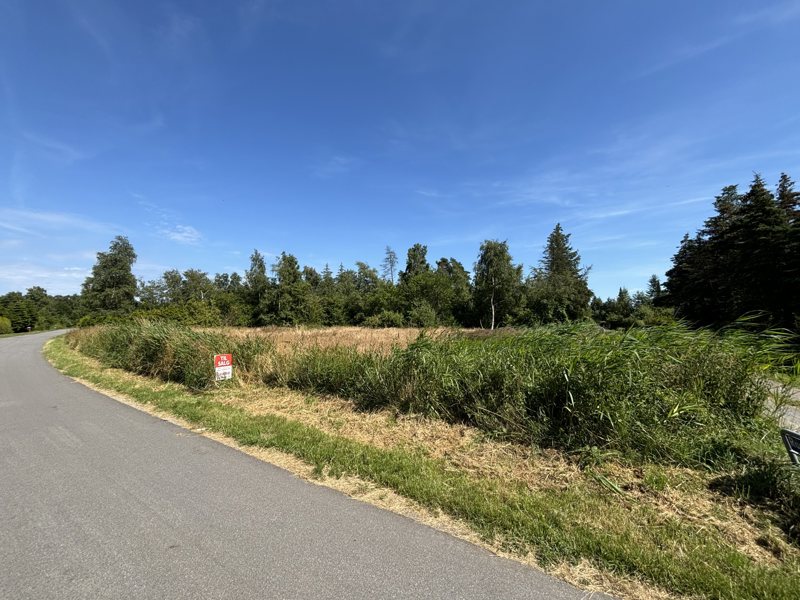 Property image number 4
