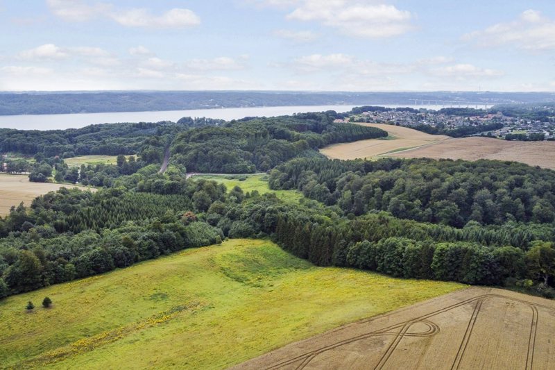 Property image number 6