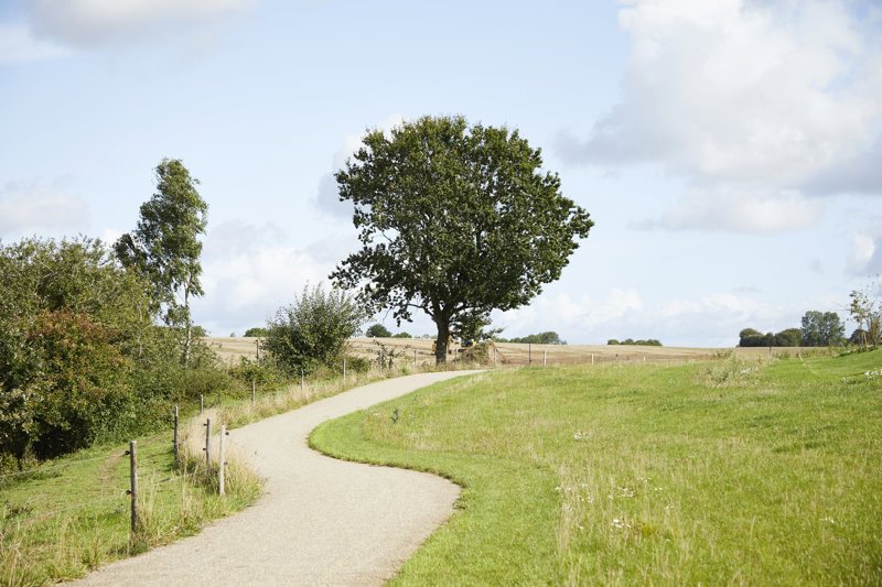 Property image number 5