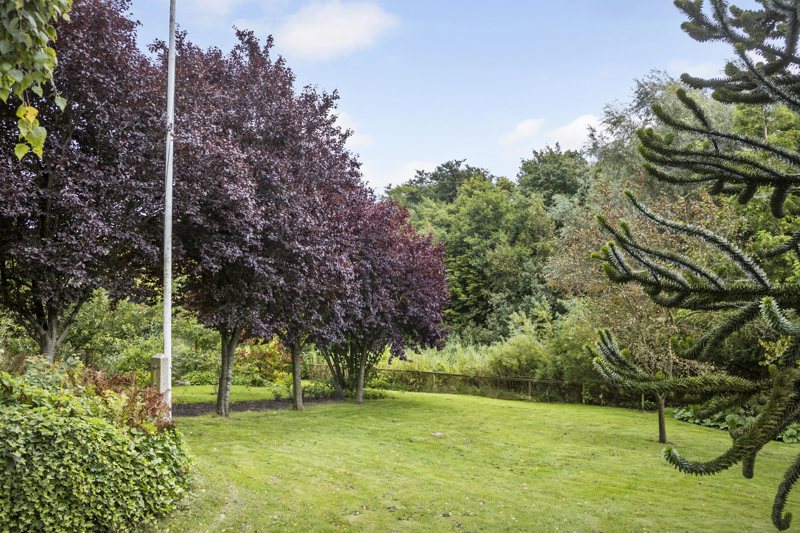 Property image number 4