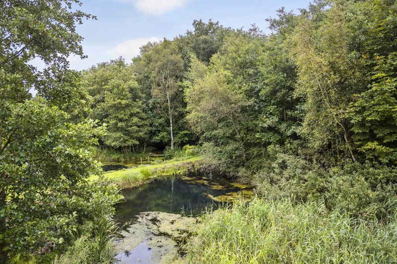 Property image number 5