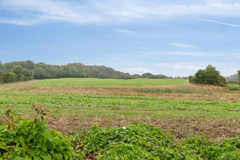 Property image number 2