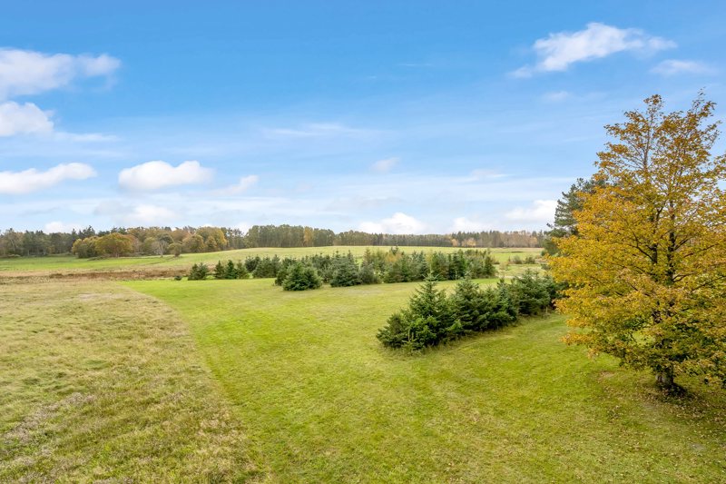 Property image number 6