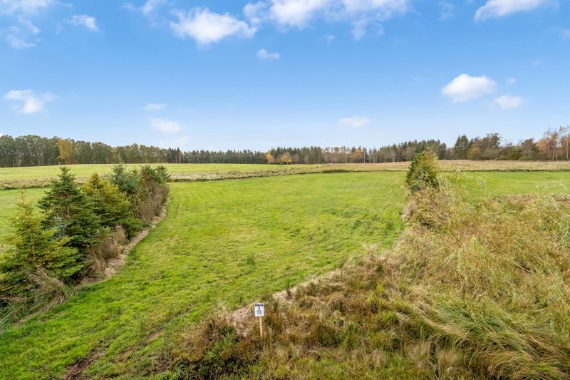 Property image number 11