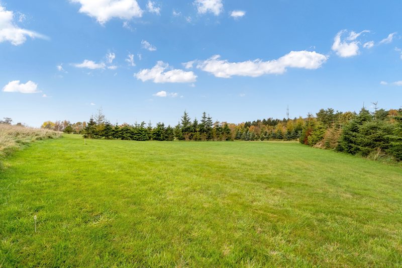 Property image number 7