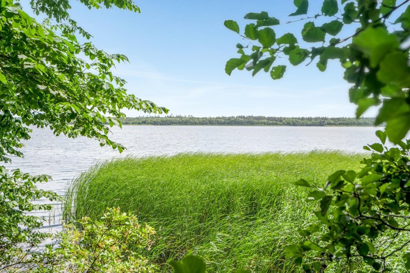 Property image number 8