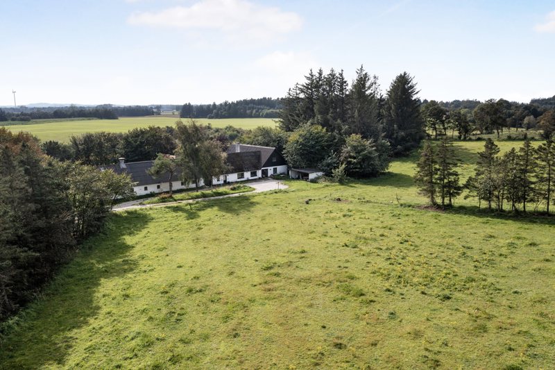 Property image number 3