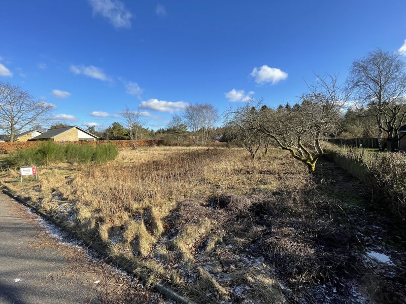 Property image number 3