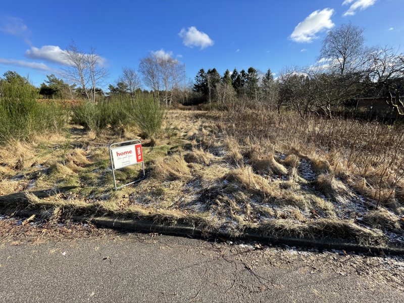 Property image number 5