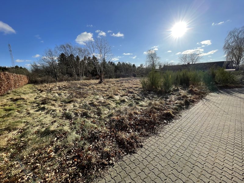 Property image number 6