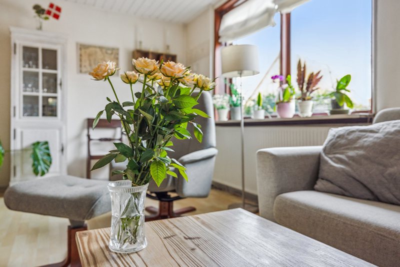 Property image number 9