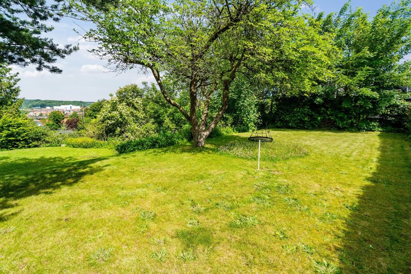 Property image number 7