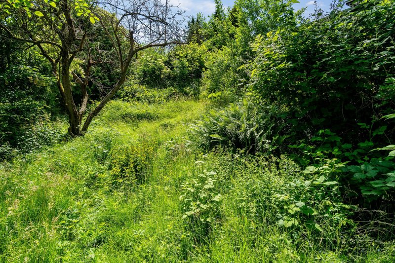 Property image number 3