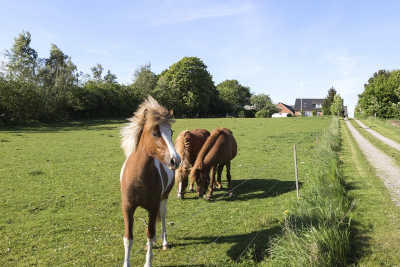 Property image number 4