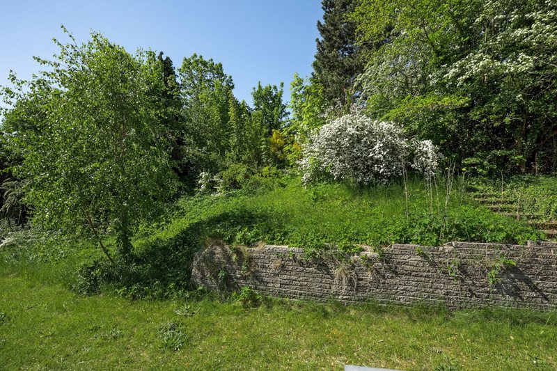 Property image number 6