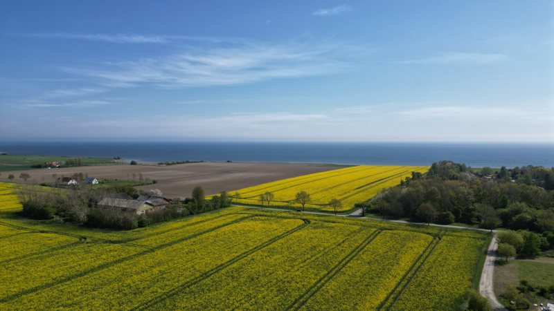 Property image number 11