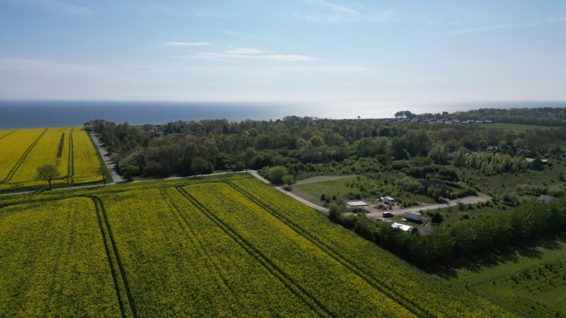 Property image number 9
