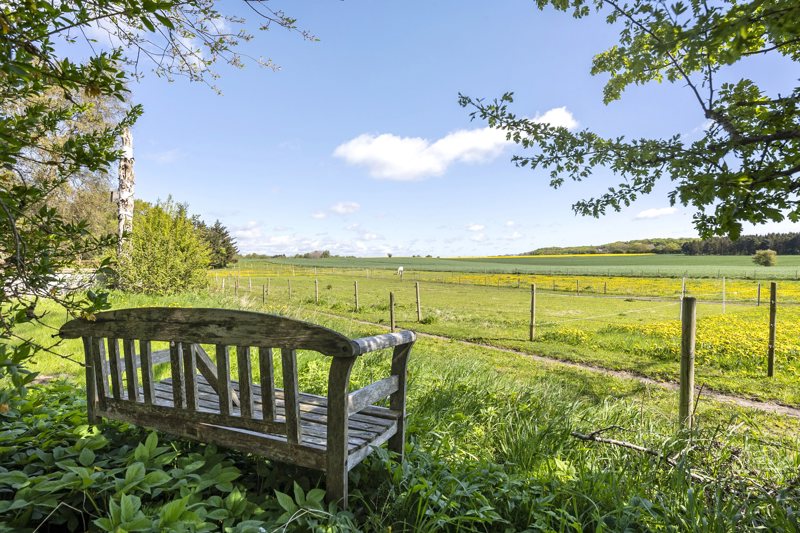 Property image number 5