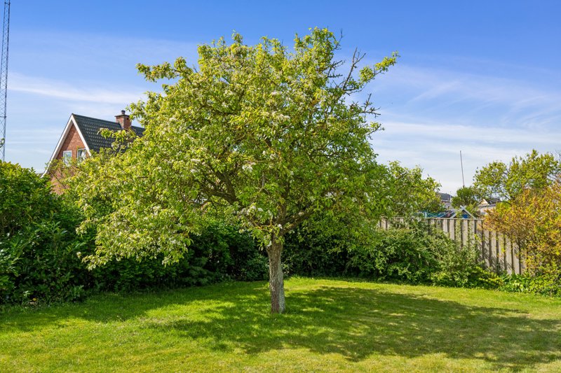 Property image number 5