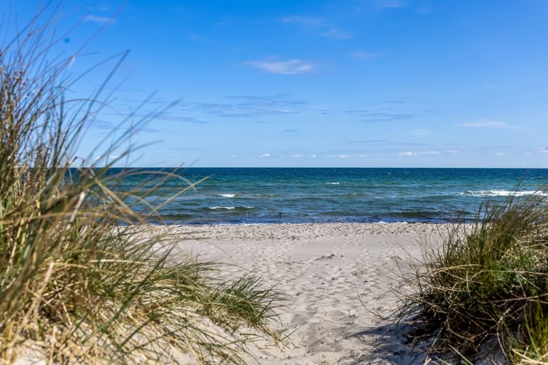 Property image number 4