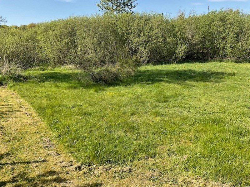 Property image number 2