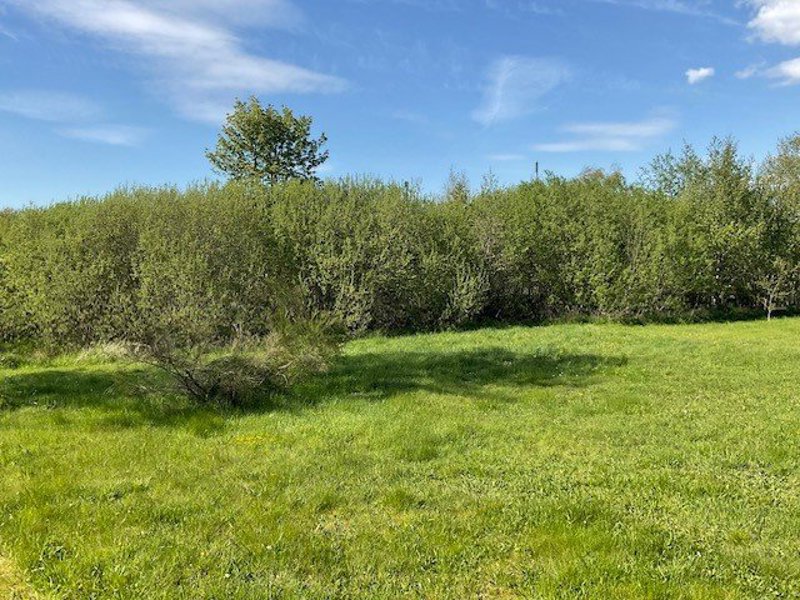 Property image number 3
