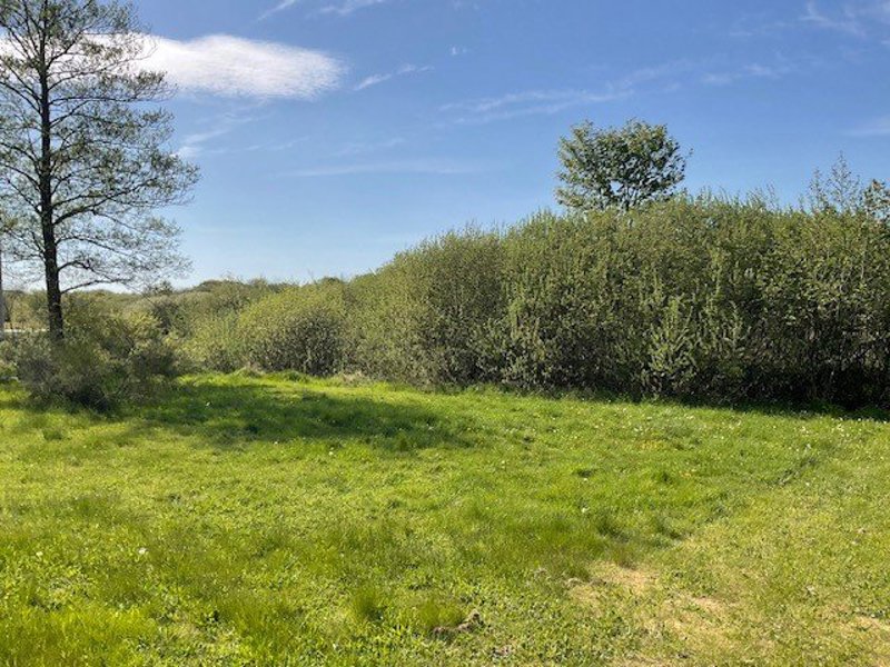 Property image number 4