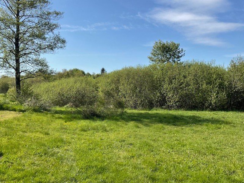 Property image number 6
