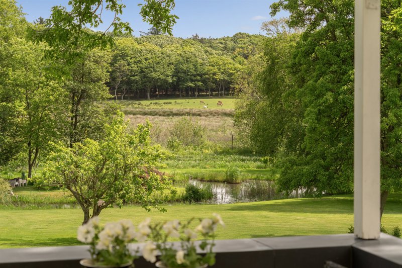 Property image number 4