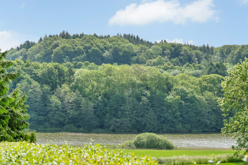 Property image number 3