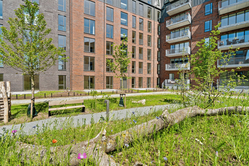 Property image number 6