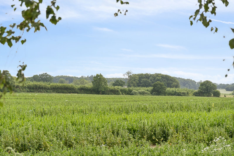 Property image number 3