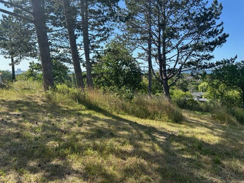Property image number 8