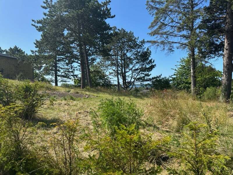 Property image number 7