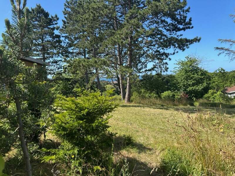 Property image number 6