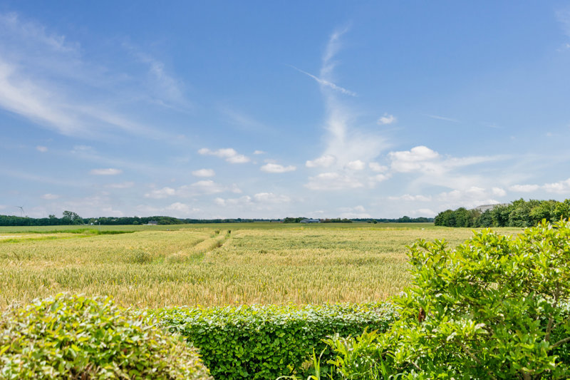 Property image number 4