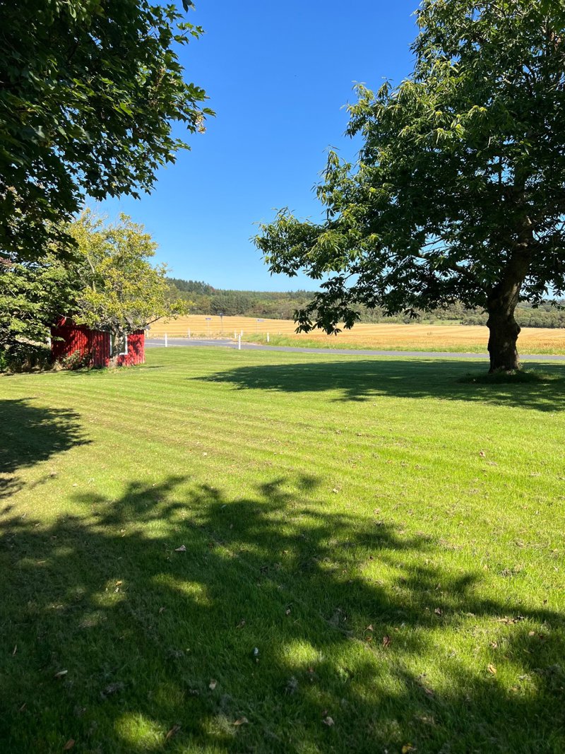 Property image number 7