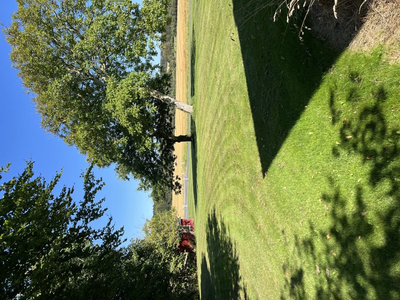Property image number 6