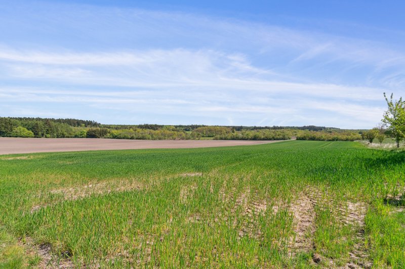 Property image number 10