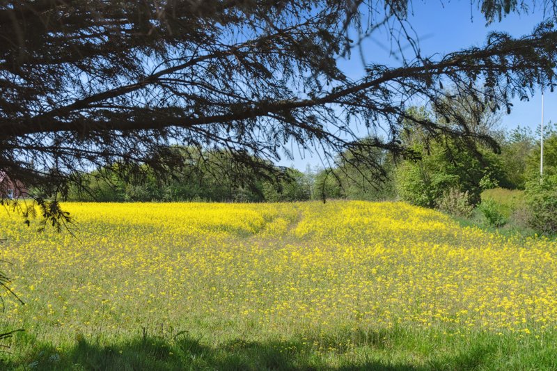 Property image number 9