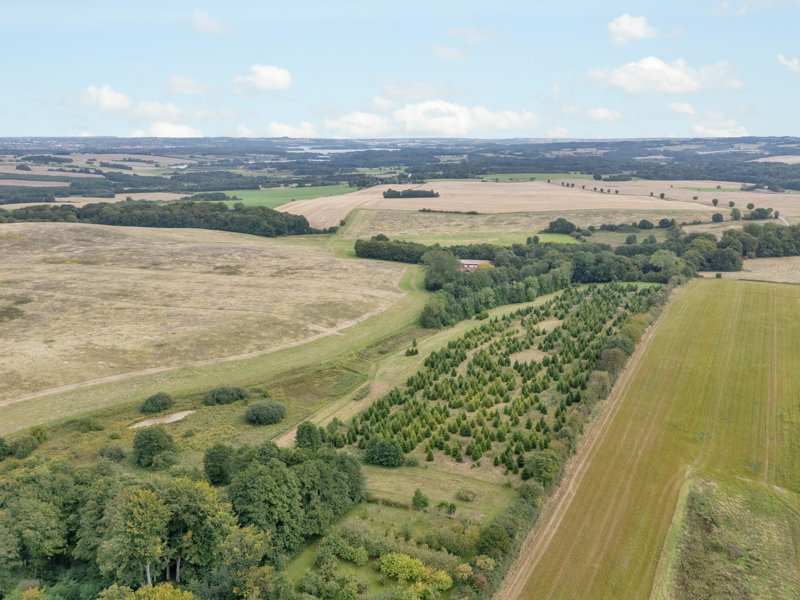 Property image number 10