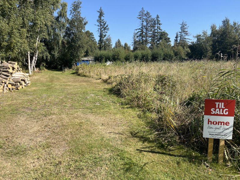 Property image number 3