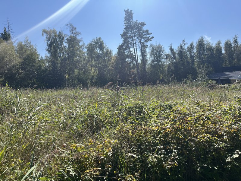 Property image number 4