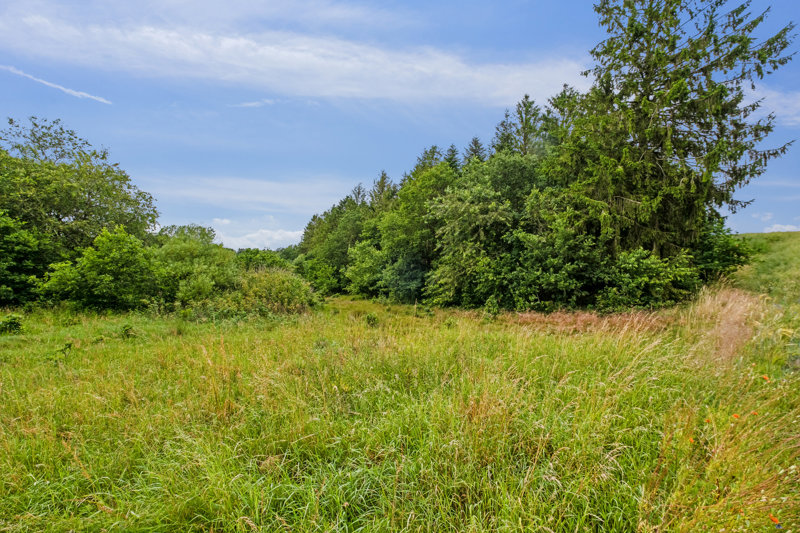 Property image number 3