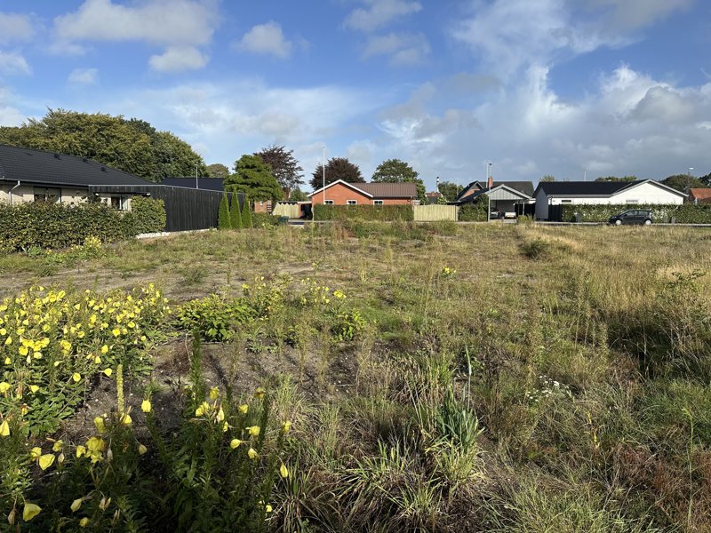 Property image number 5