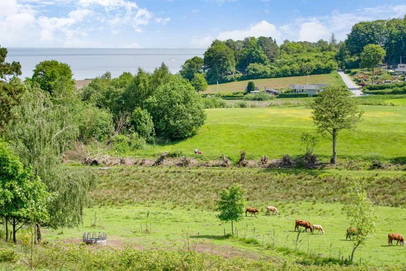 Property image number 6